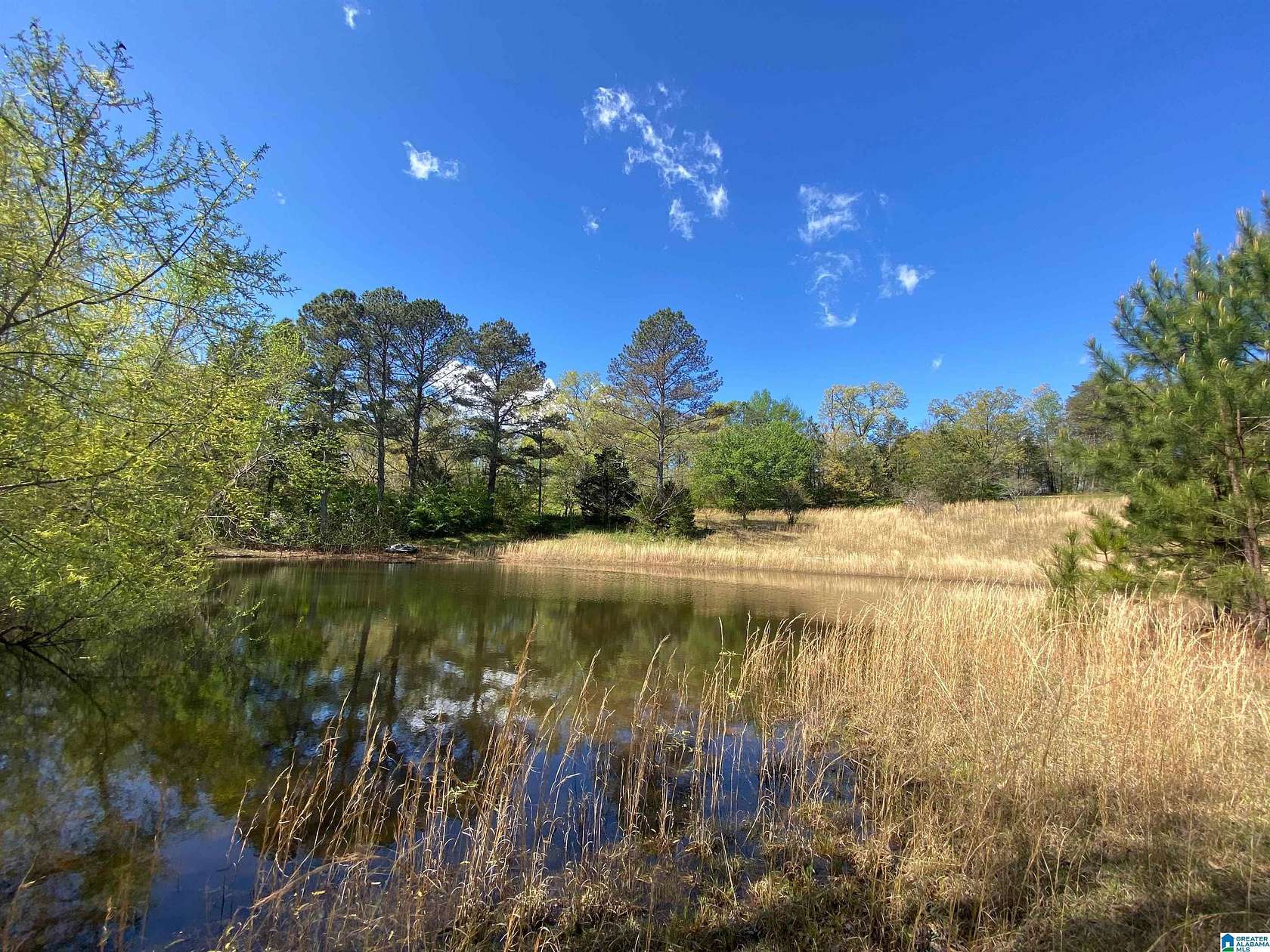 13 Acres of Agricultural Land for Sale in Odenville, Alabama