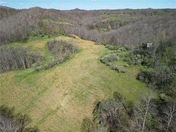 38.9 Acres of Recreational Land for Sale in Looneyville, West Virginia