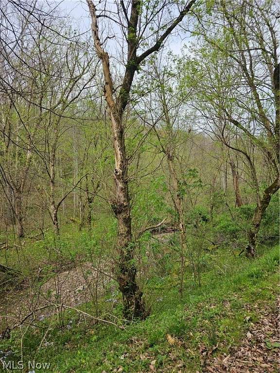 8.9 Acres of Land for Sale in Looneyville, West Virginia