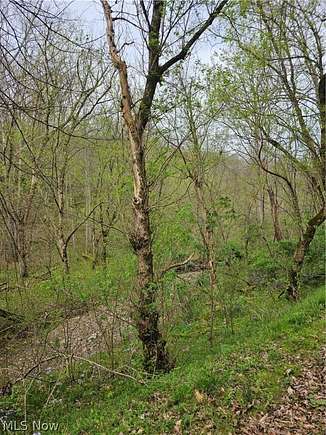 8.9 Acres of Land for Sale in Looneyville, West Virginia