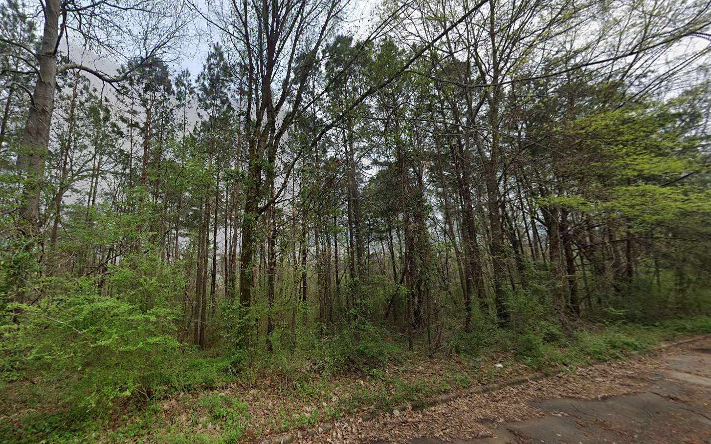 0.45 Acres of Residential Land for Sale in Birmingham, Alabama