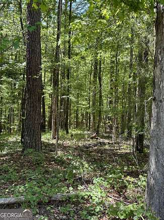 1 Acre of Residential Land for Sale in Eatonton, Georgia