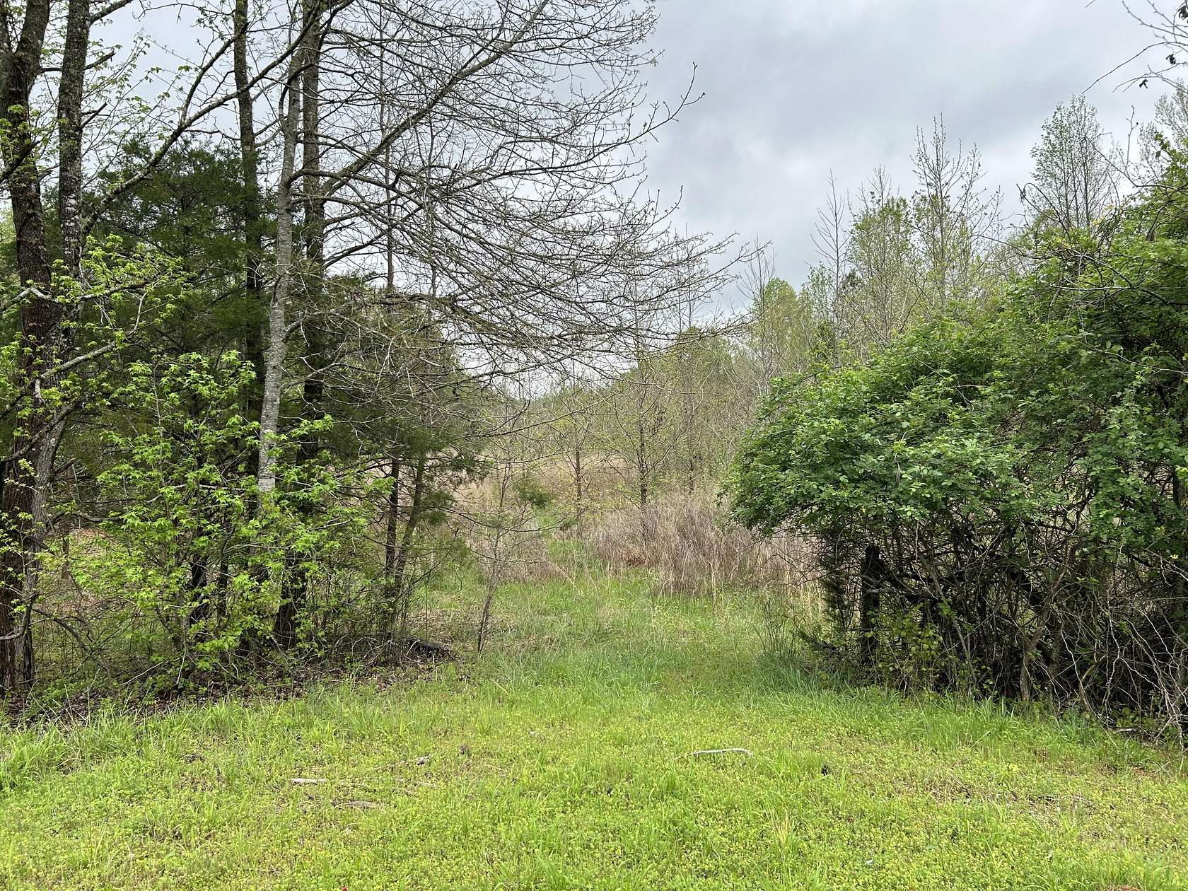 40 Acres of Recreational Land for Sale in Corinth, Mississippi