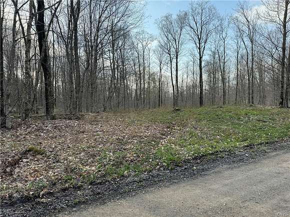 17.6 Acres of Recreational Land for Sale in Lewis Town, New York