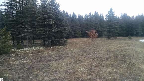 5 Acres of Recreational Land for Sale in Fife Lake, Michigan