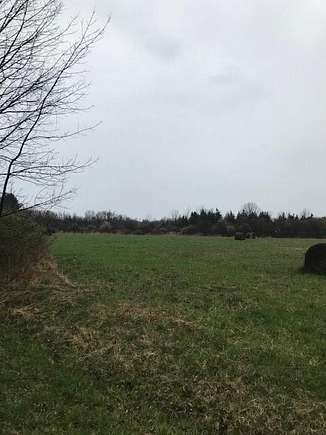 83.6 Acres of Agricultural Land for Sale in Lodi, New York