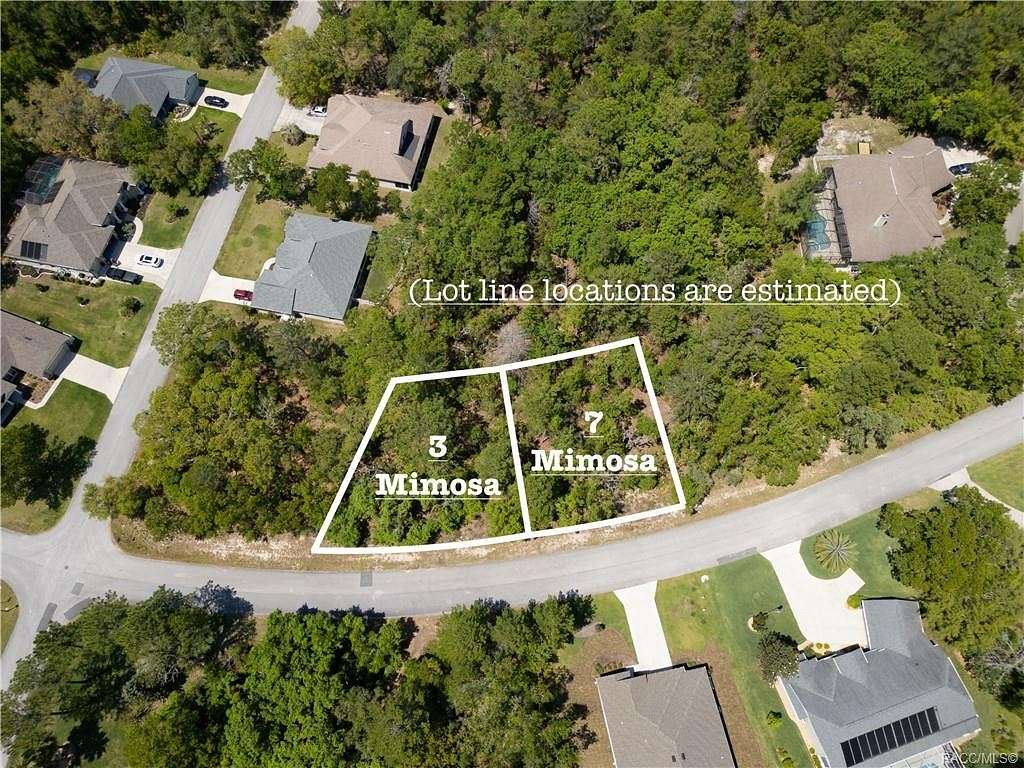 0.29 Acres of Land for Sale in Homosassa, Florida