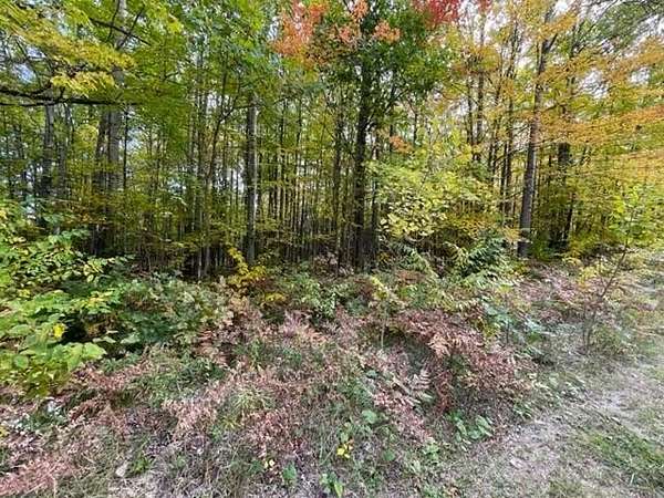0.8 Acres of Land for Sale in Roscommon, Michigan