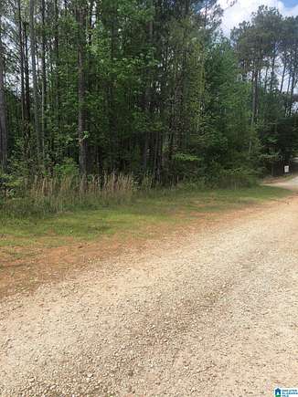 1 Acre of Land for Sale in Wedowee, Alabama