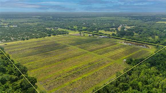 40 Acres of Improved Agricultural Land for Sale in Arcadia, Florida