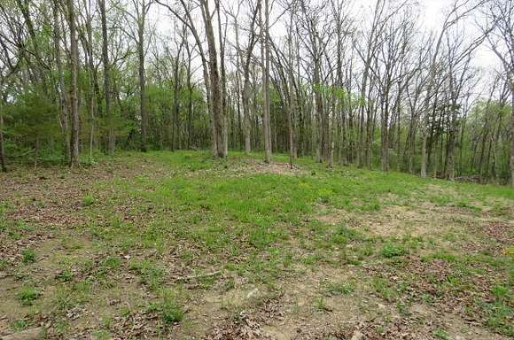4.3 Acres of Land for Sale in Mansfield, Missouri