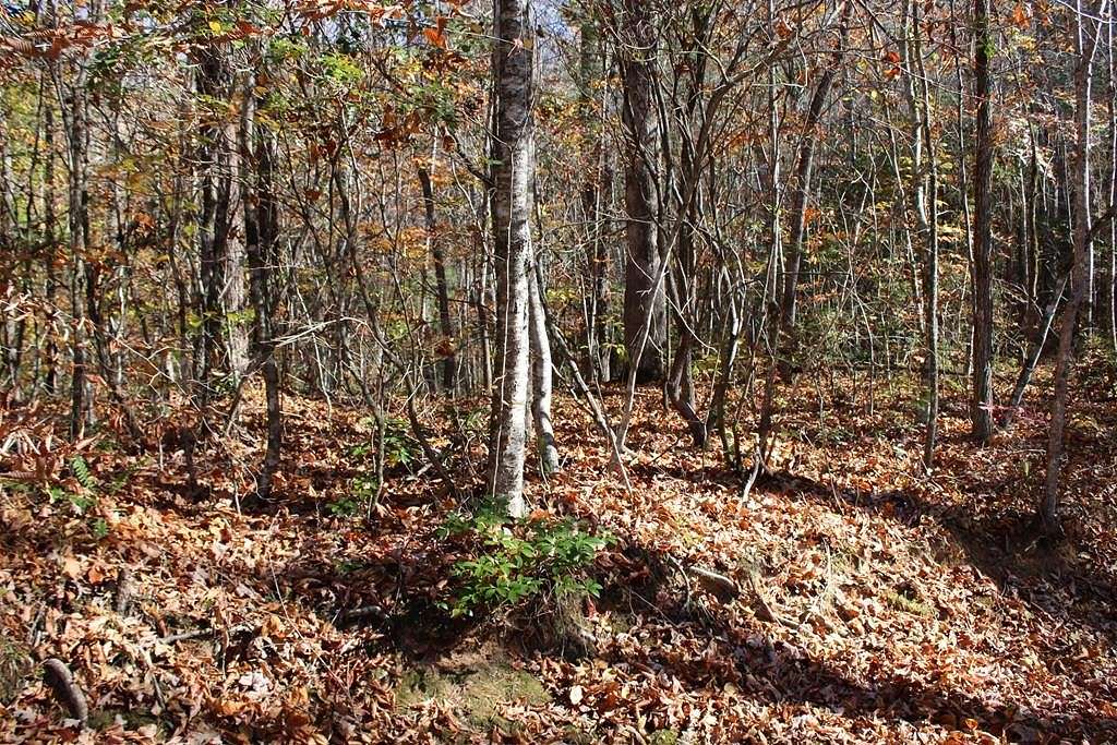 1.3 Acres of Residential Land for Sale in Otto, North Carolina
