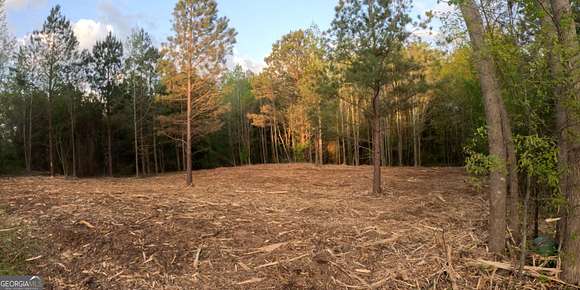 0.8 Acres of Residential Land for Sale in McDonough, Georgia