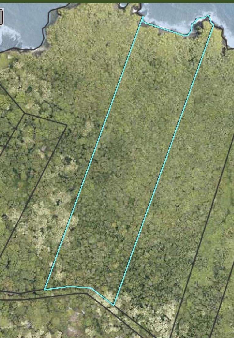 20.5 Acres of Agricultural Land for Sale in Hana, Hawaii