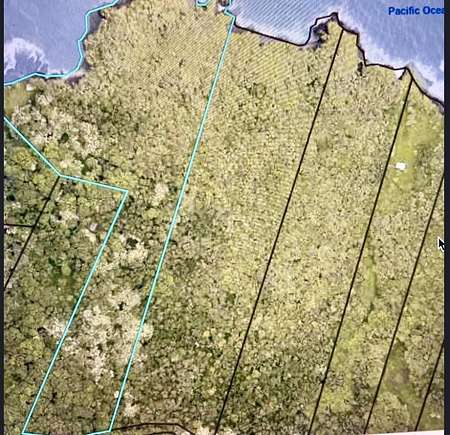 20.5 Acres of Agricultural Land for Sale in Hana, Hawaii