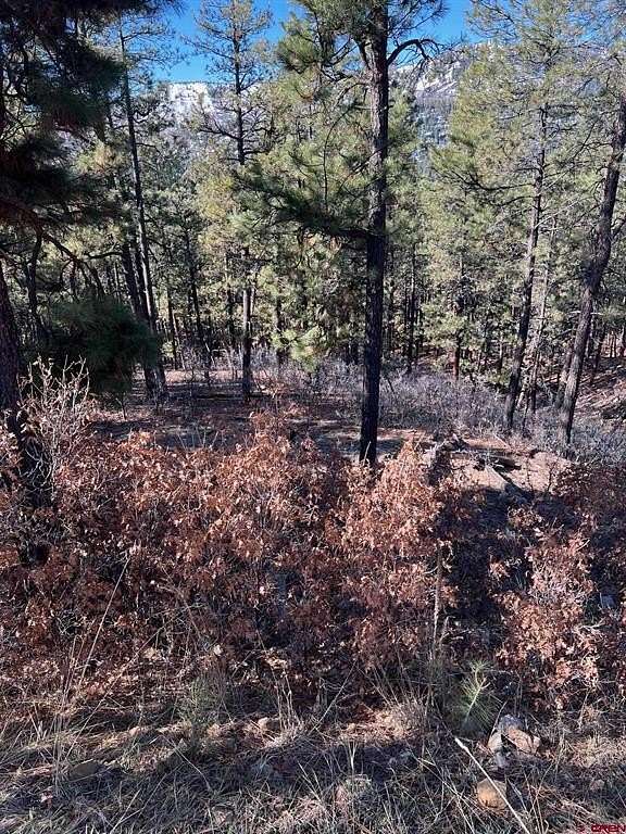 1 Acre of Land for Sale in Bayfield, Colorado