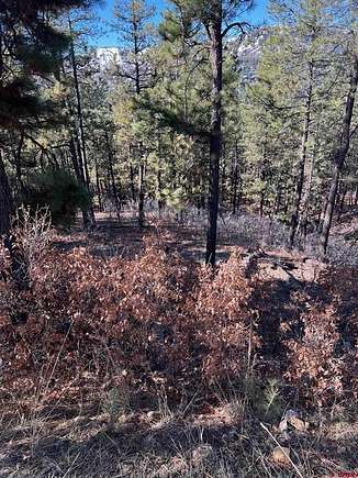 1 Acre of Residential Land for Sale in Bayfield, Colorado