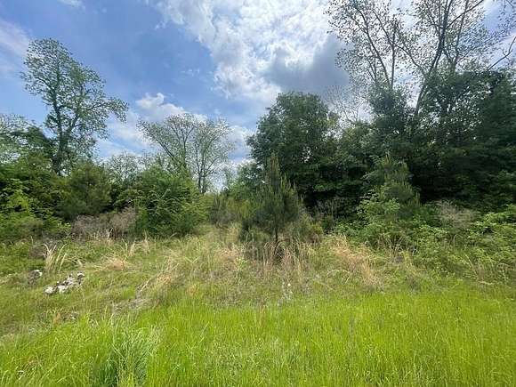 1.217 Acres of Land for Sale in Cordele, Georgia