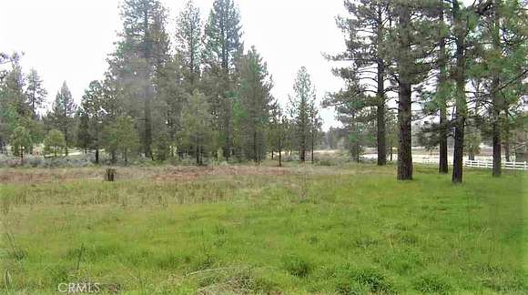 5.51 Acres of Residential Land for Sale in Mountain Center, California