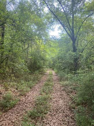 50 Acres of Recreational Land for Sale in McIntosh, Alabama
