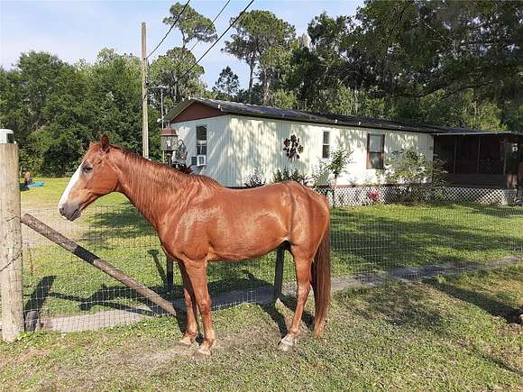 10.5 Acres of Land with Home for Sale in Lakeland, Florida