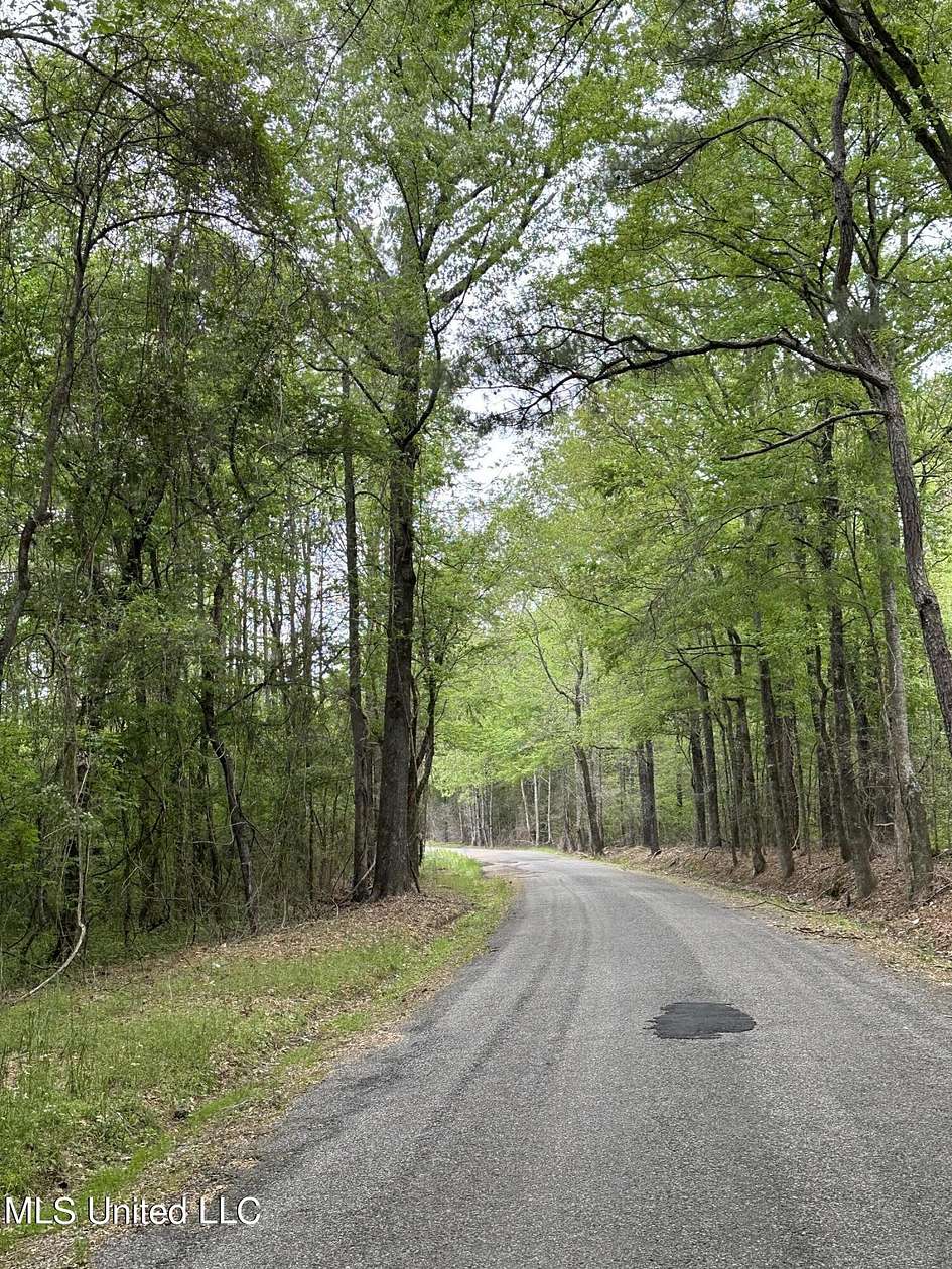 30 Acres of Recreational Land for Sale in Lena, Mississippi