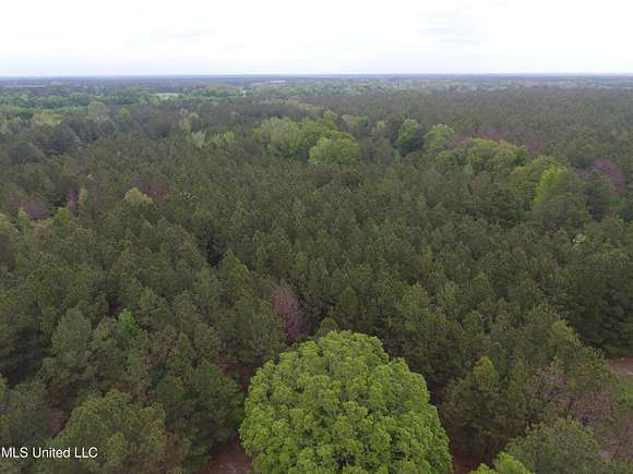 30 Acres of Recreational Land for Sale in Lena, Mississippi