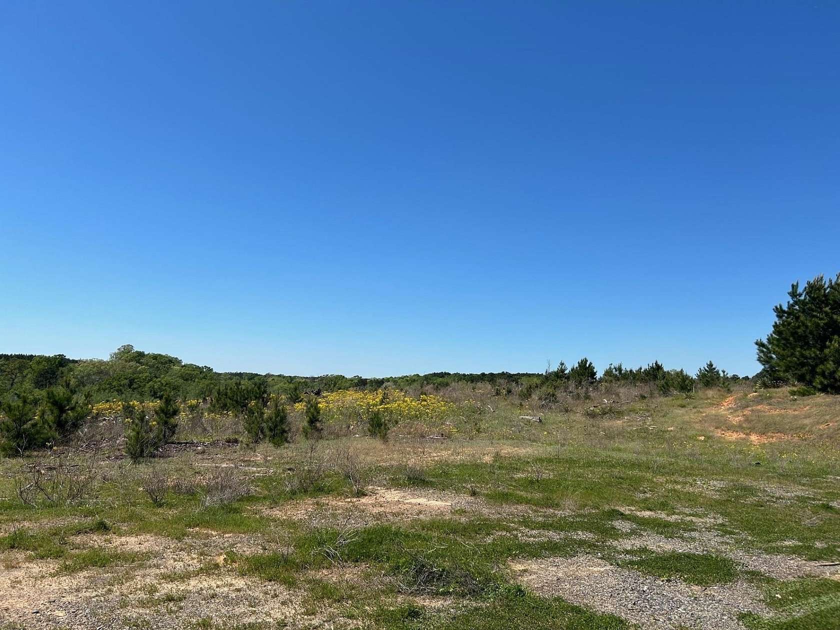 70.59 Acres of Recreational Land for Sale in Center, Texas