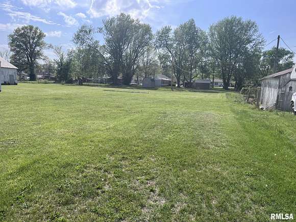 0.35 Acres of Residential Land for Sale in Bonnie, Illinois