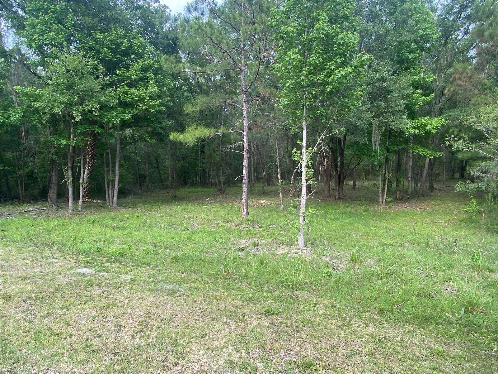 5.5 Acres of Agricultural Land for Sale in Williston, Florida