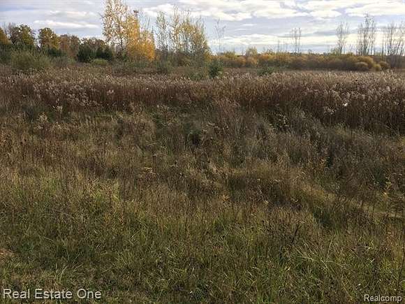 3.2 Acres of Residential Land for Sale in Dryden, Michigan