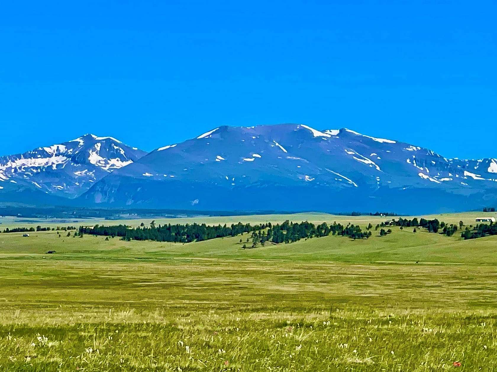 640 Acres of Recreational Land & Farm for Sale in Hartsel, Colorado