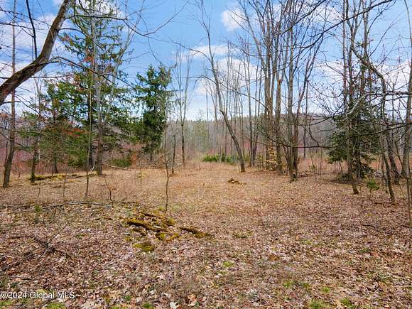 1.6 Acres of Land for Sale in Fulton Town, New York