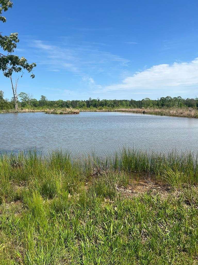 60.8 Acres of Recreational Land for Sale in Liberty, Mississippi