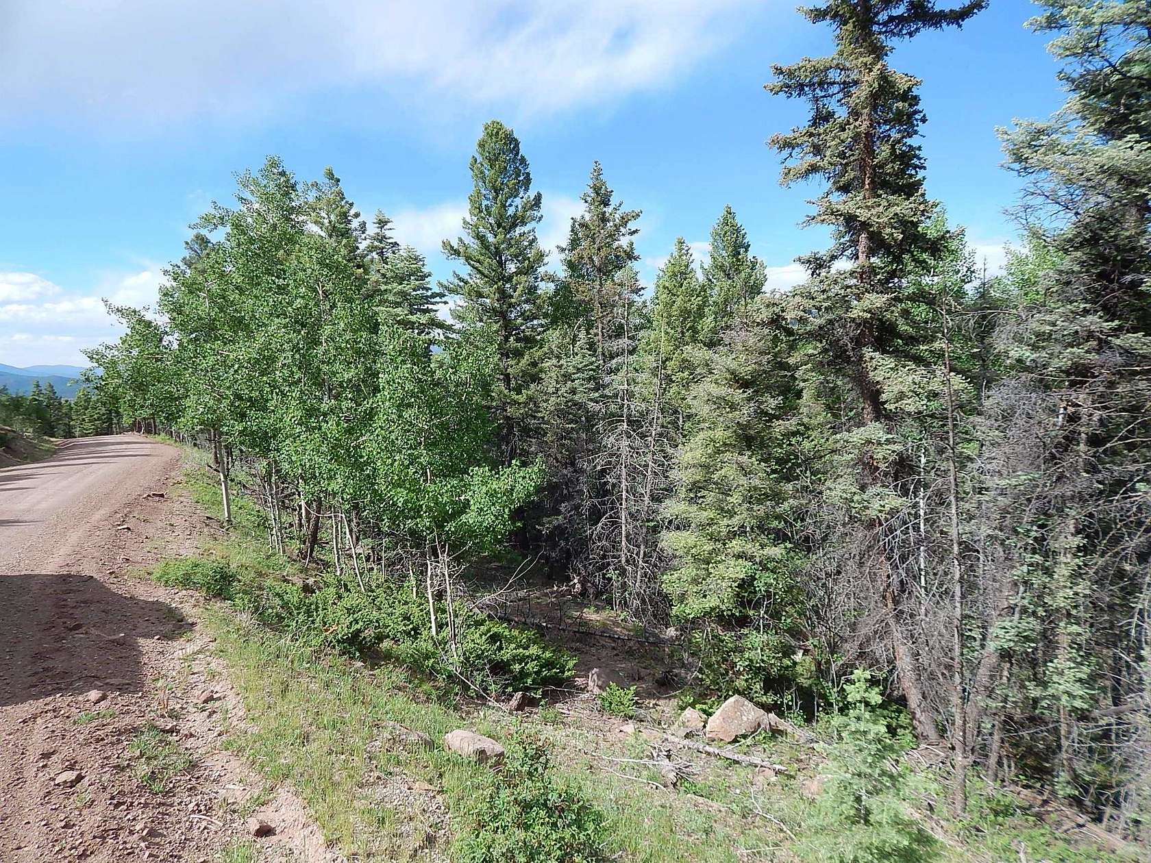 1.9 Acres of Residential Land for Sale in Angel Fire, New Mexico