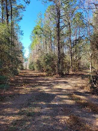 50 Acres of Recreational Land for Sale in Call, Texas