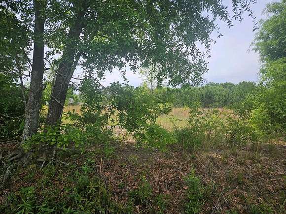 2.4 Acres of Residential Land for Sale in Adel, Georgia