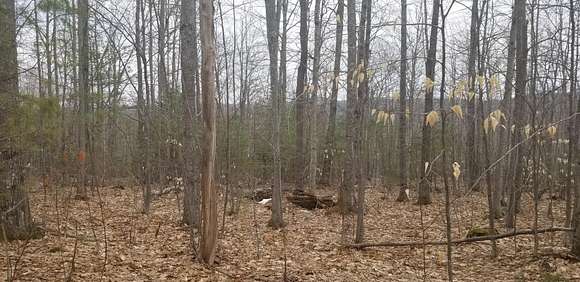 5 Acres of Land for Sale in Chesterville, Maine