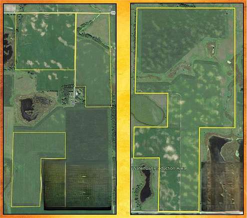 390 Acres of Agricultural Land for Auction in Donnelly Township, Minnesota