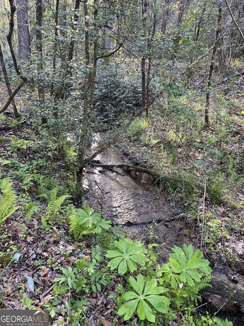 12 Acres of Recreational Land for Sale in Clayton, Georgia