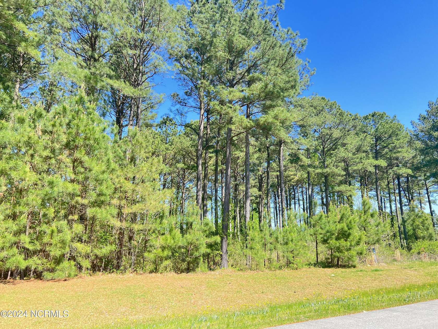 1.3 Acres of Residential Land for Sale in Edenton, North Carolina
