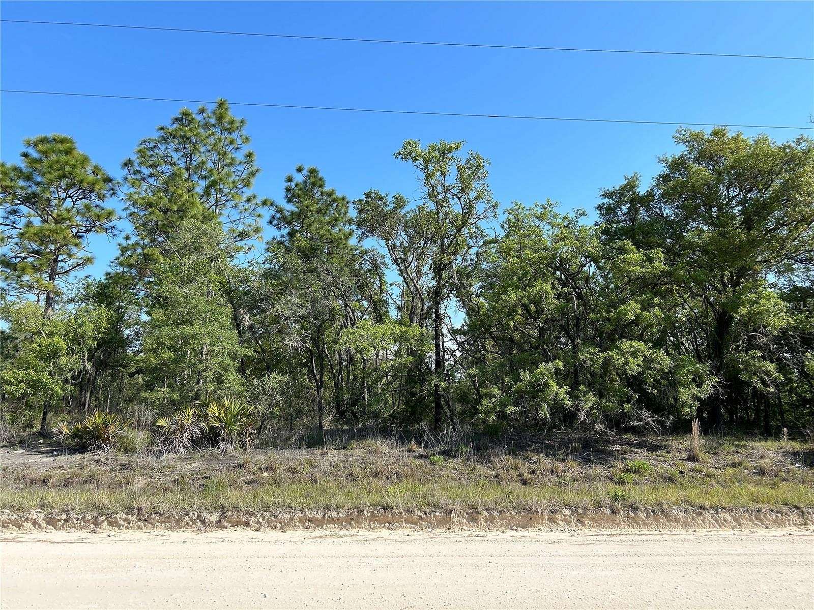 1.3 Acres of Land for Sale in Morriston, Florida