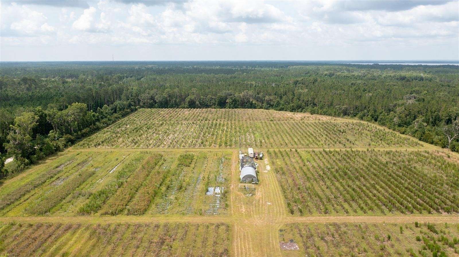 23.5 Acres of Agricultural Land for Sale in Hawthorne, Florida