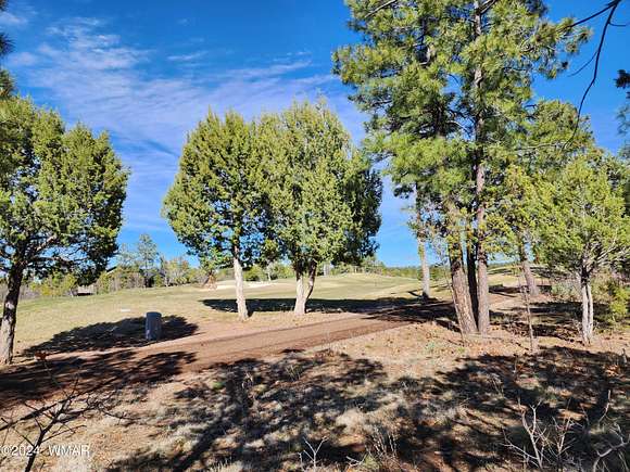 0.78 Acres of Residential Land for Sale in Show Low, Arizona