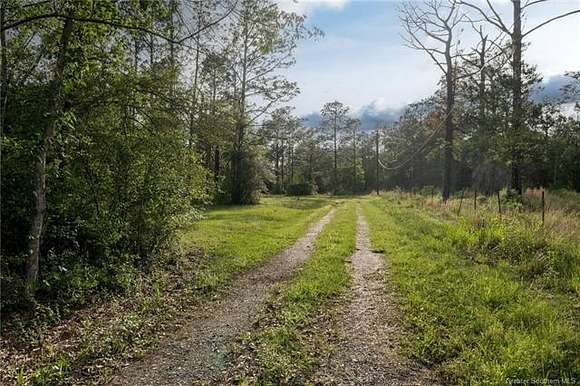 17.5 Acres of Land with Home for Sale in DeQuincy, Louisiana