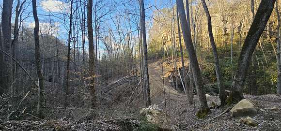 1 Acre of Land for Sale in Zoe, Kentucky