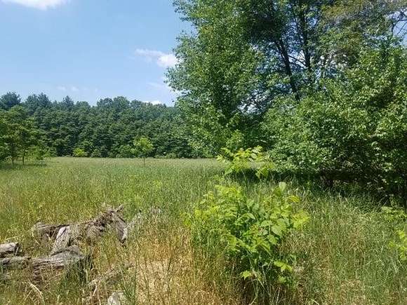 5 Acres of Commercial Land for Sale in Wayland, Michigan