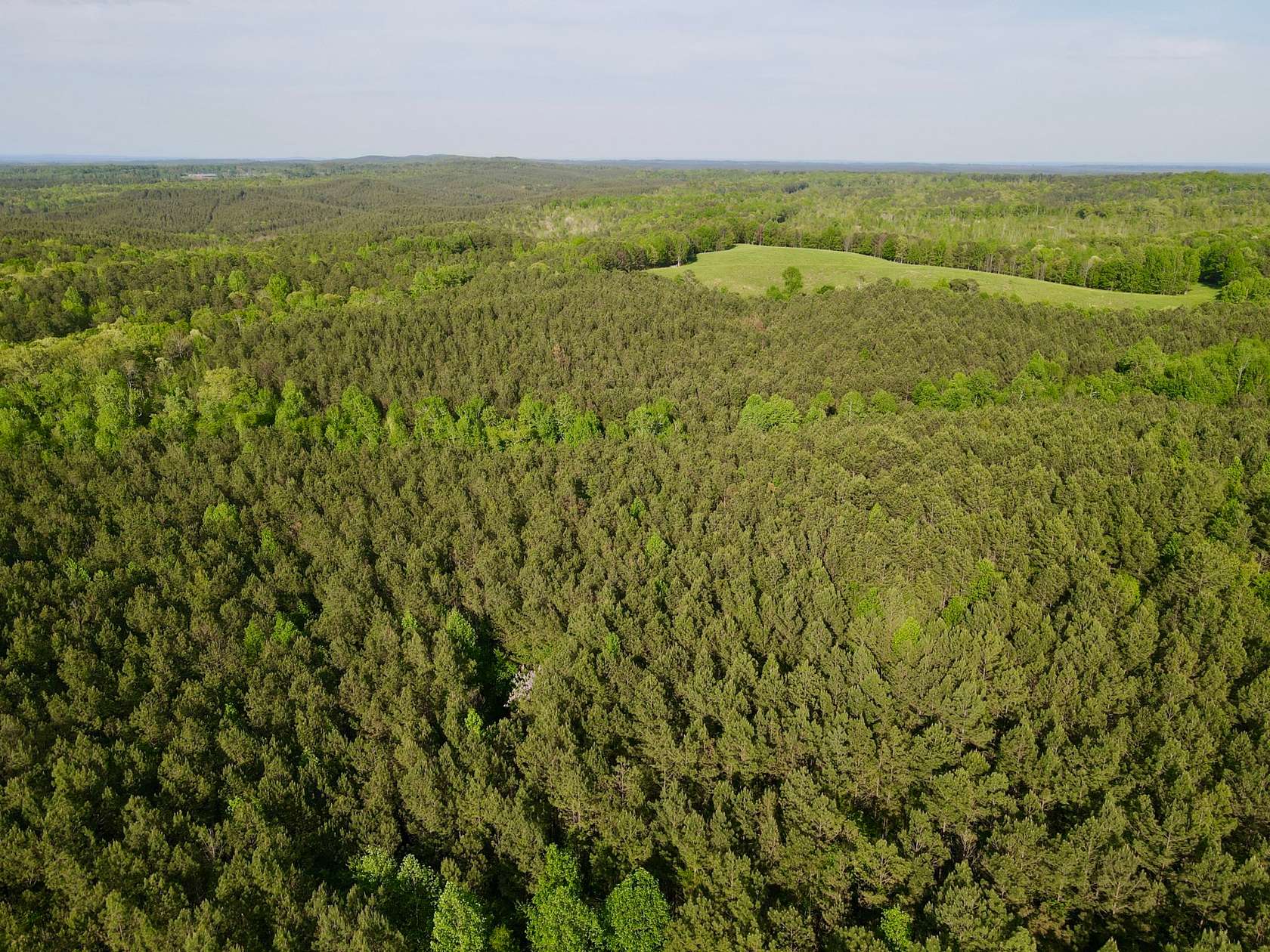 38 Acres of Recreational Land & Farm for Sale in Cragford, Alabama
