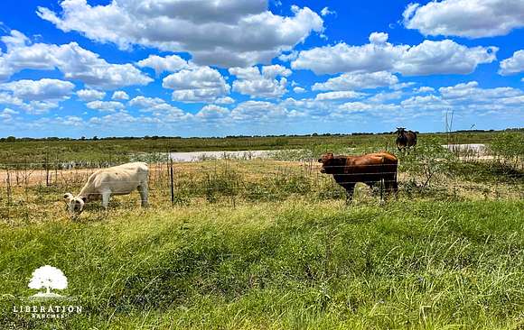 17.112 Acres of Land for Sale in El Campo, Texas