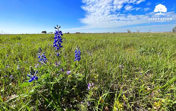 17.177 Acres of Land for Sale in El Campo, Texas